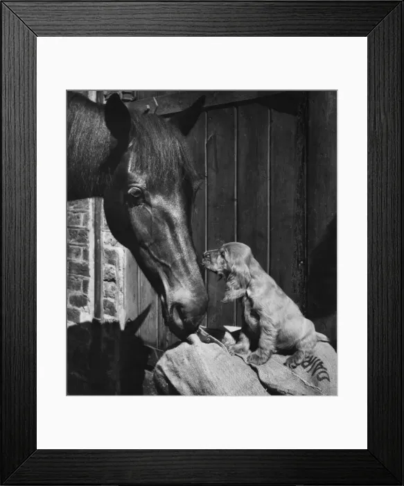 Framed Print : Susi - with horse Framed Print : Susi - with horse