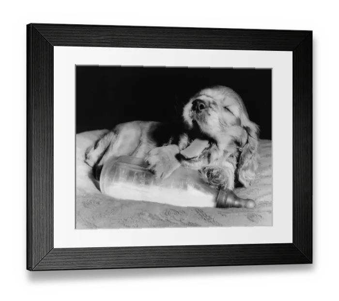 Framed Print : Susi - with milk bottle Framed Print : Susi - with milk bottle