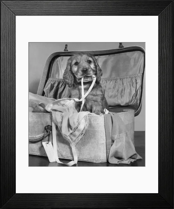 Framed Print : Susi - with suitcase of clothes Framed Print : Susi - with suitcase of clothes