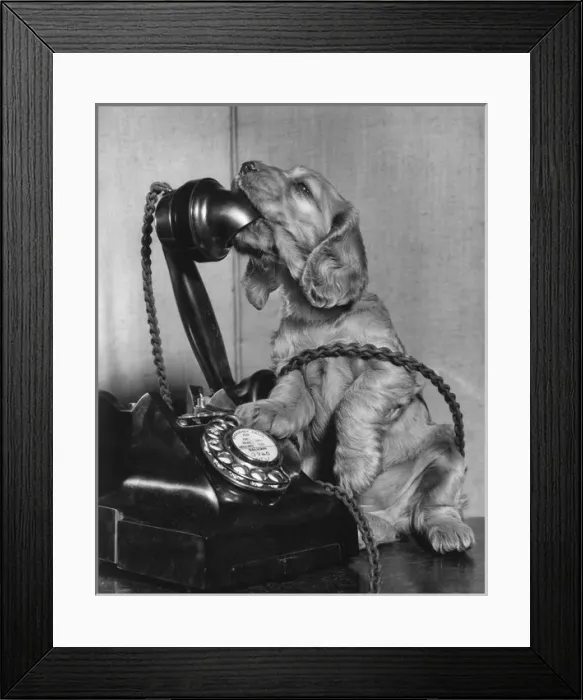 Framed Print : Susi - on the phone Framed Print : Susi - on the phone