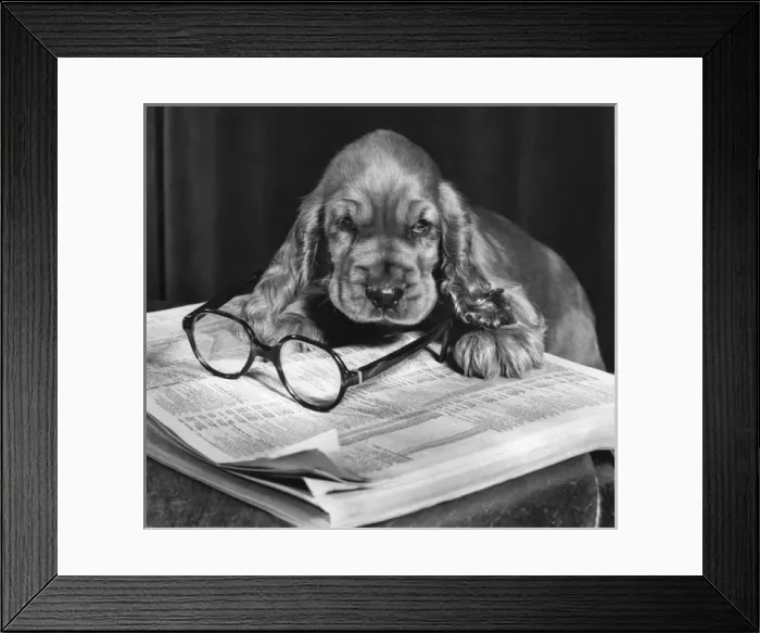 Framed Print : Susi - with telephone directory and glasses Framed Print : Susi - with telephone directory and glasses