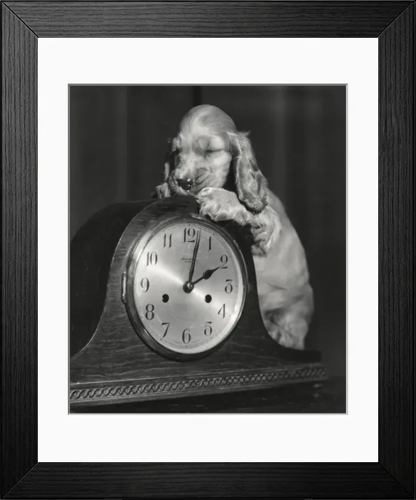 Framed Print : Susi - with a mantel clock Framed Print : Susi - with a mantel clock