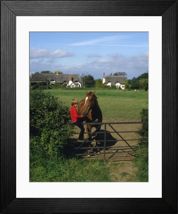Framed Print : Boy and horse, Great Comberton, Worcestershire Framed Print : Boy and horse, Great Comberton, Worcestershire