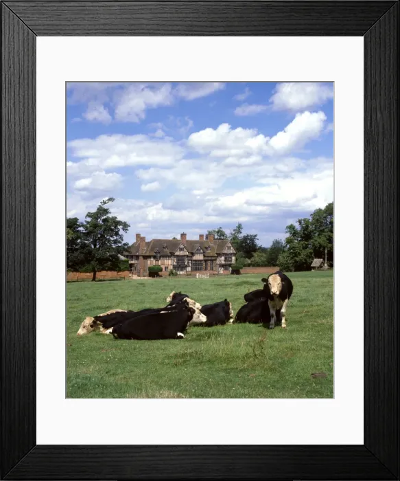 Framed Print : Wick Manor with cattle, Wick, Worcestershire Framed Print : Wick Manor with cattle, Wick, Worcestershire