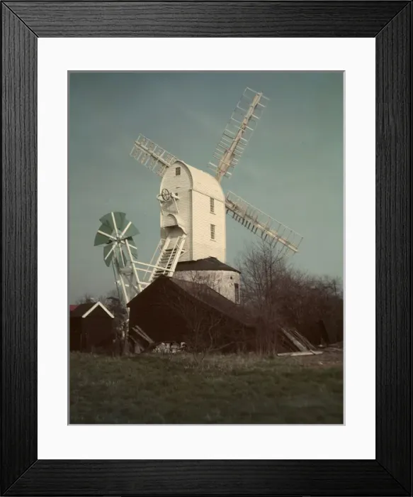 Framed Print : Saxtead Green Post Windmill, Suffolk Framed Print : Saxtead Green Post Windmill, Suffolk