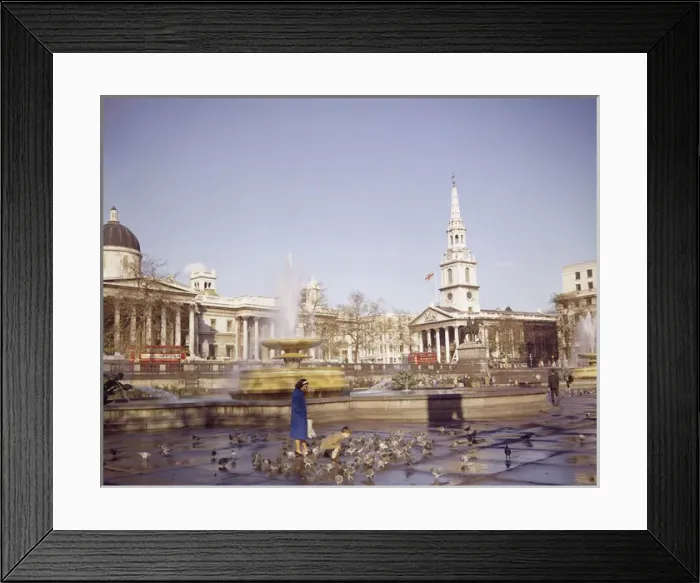 Framed Print : Trafalgar Square with fountains and pigeons, London Framed Print : Trafalgar Square with fountains and pigeons, London