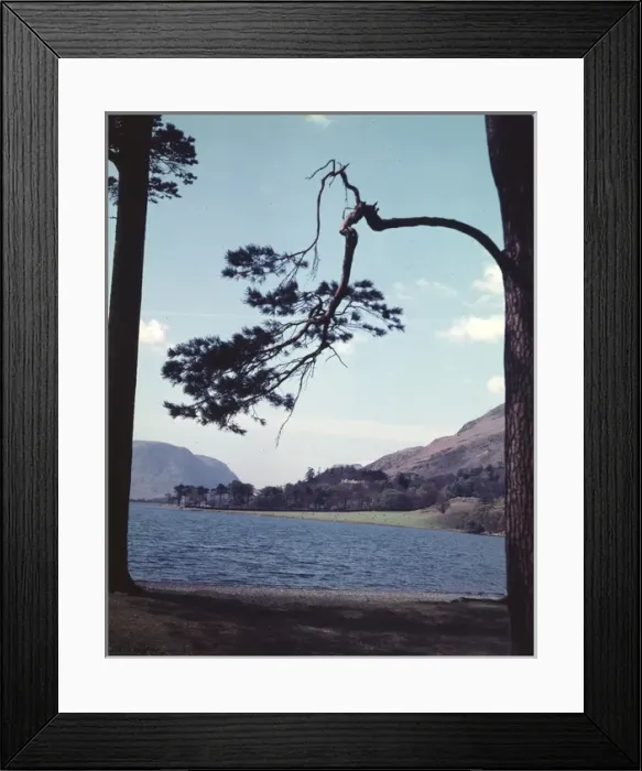 Framed Print : Scene at Buttermere, Lake District, Cumbria Framed Print : Scene at Buttermere, Lake District, Cumbria