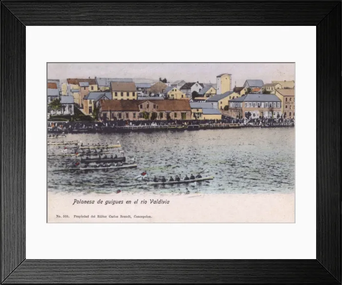 Framed Print : Boat race at Valdivia, Chile, South America Framed Print : Boat race at Valdivia, Chile, South America