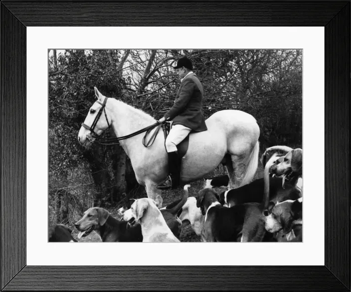 Framed Print : MFH of the South Devon Foxhounds Framed Print : MFH of the South Devon Foxhounds