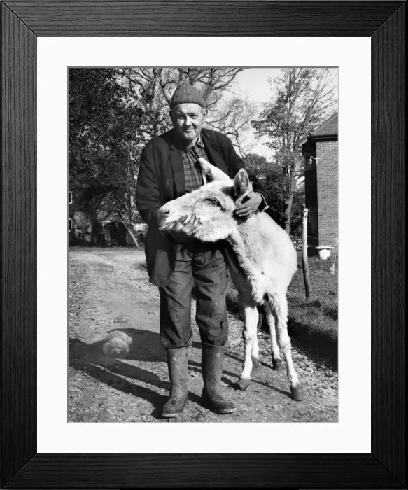 Framed Print : Man and mule Framed Print : Man and mule