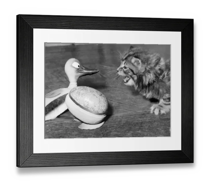 Framed Print : Tabby kitten with Easter Egg duck Framed Print : Tabby kitten with Easter Egg duck