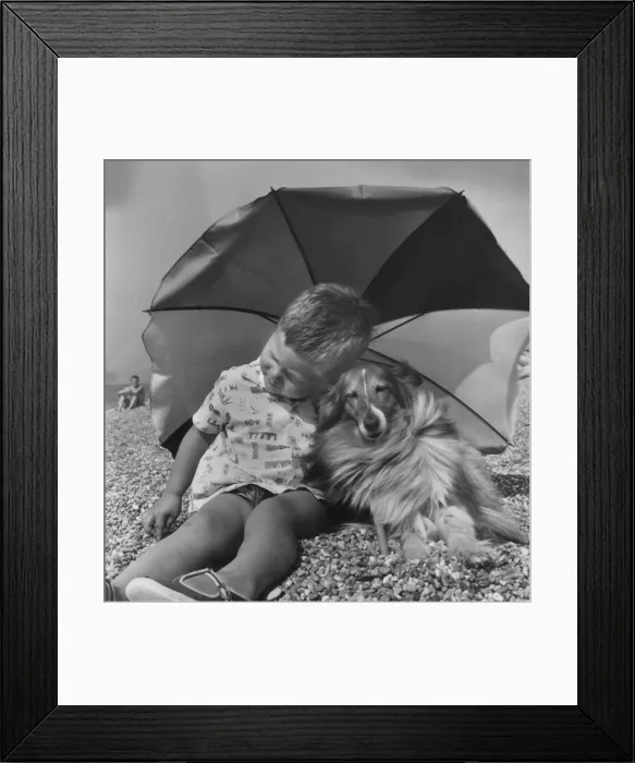Framed Print : Little boy and Collie dog with parasol on a pebbly beach Framed Print : Little boy and Collie dog with parasol on a pebbly beach
