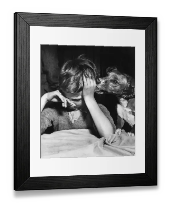 Framed Print : Little boy and his dog Framed Print : Little boy and his dog