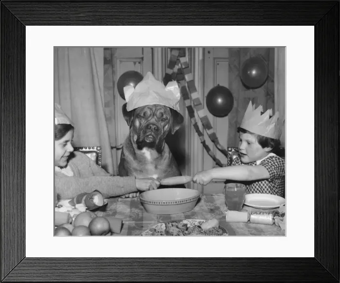 Framed Print : Two children and dog enjoying a Christmas tea party Framed Print : Two children and dog enjoying a Christmas tea party