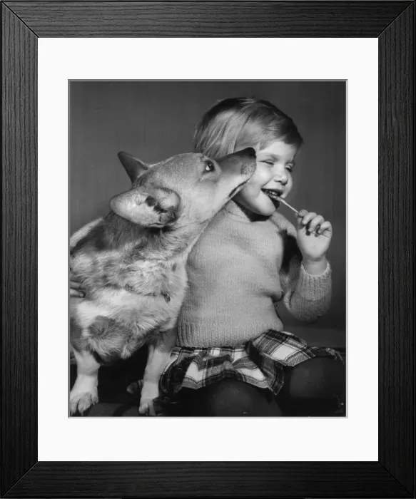 Framed Print : Little girl with Corgi dog Framed Print : Little girl with Corgi dog