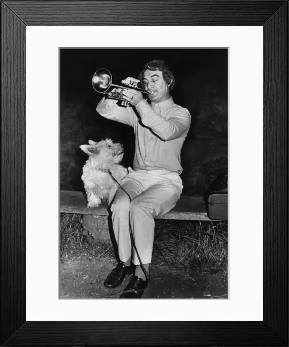 Framed Print : Man playing trumpet, dog listening Framed Print : Man playing trumpet, dog listening