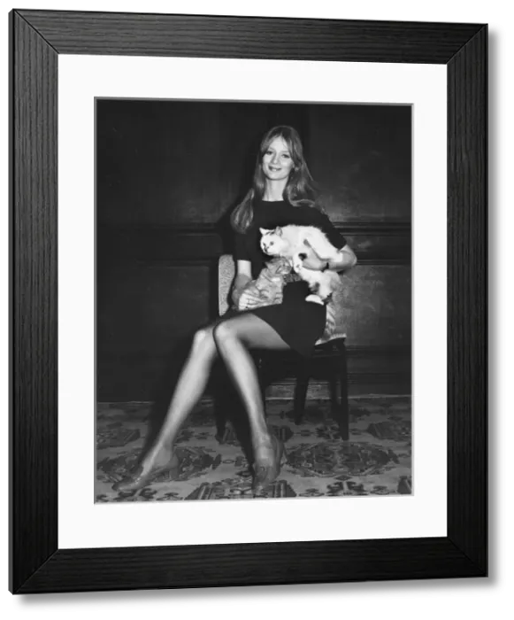 Framed Print : Young woman holding two cats Framed Print : Young woman holding two cats