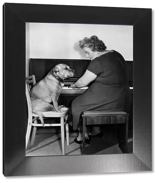 Mrs Mills, celebrity pianist, with dog