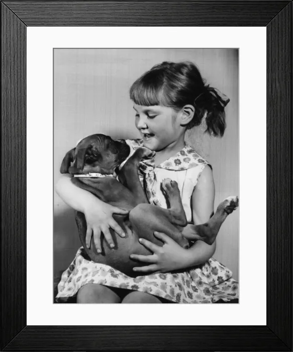 Framed Print : Girl cradling a puppy on her lap Framed Print : Girl cradling a puppy on her lap