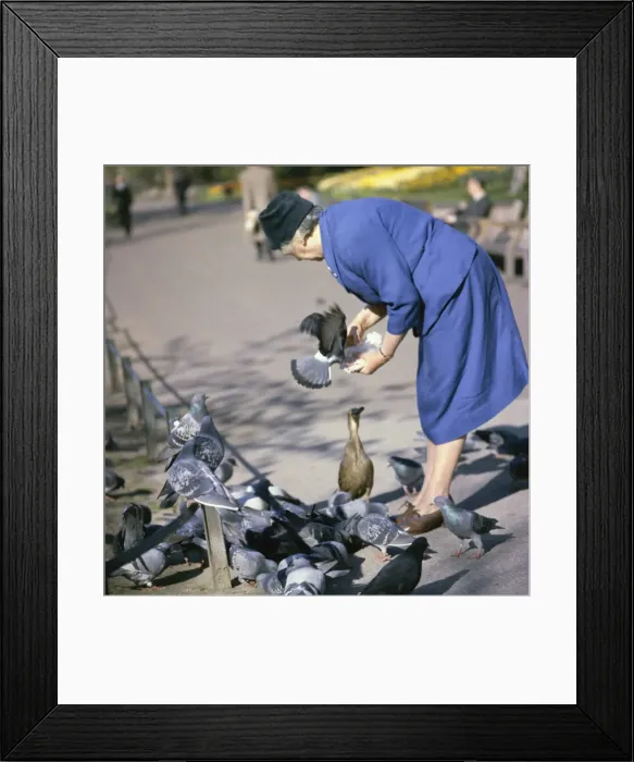 Framed Print : Woman in a park with pigeons Framed Print : Woman in a park with pigeons
