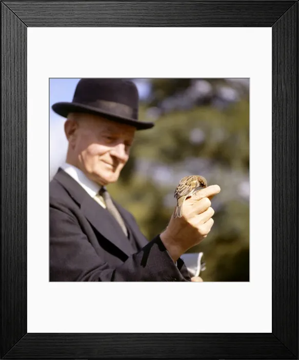Framed Print : Man feeding a sparrow in a park