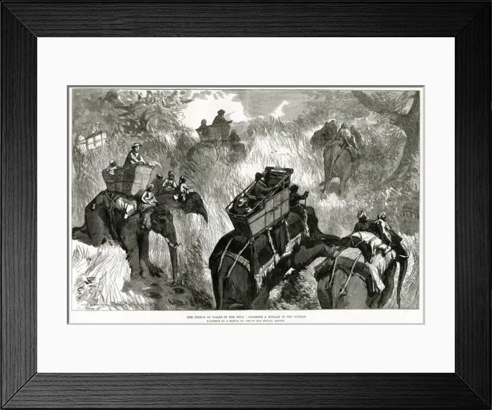 Framed Print : Prince of Wales in Nepal Terai, shooting bears 1876 Framed Print : Prince of Wales in Nepal Terai, shooting bears 1876