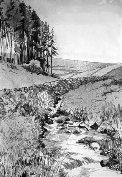 Pen and ink drawing by Harold Auerbach, rural scene