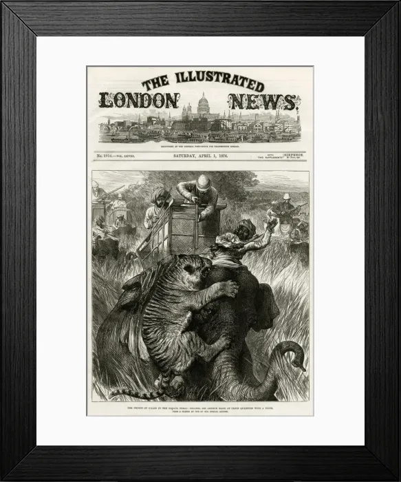 Framed Print : Prince of Wales in Nepal Terai, shooting tigers 1876 Framed Print : Prince of Wales in Nepal Terai, shooting tigers 1876