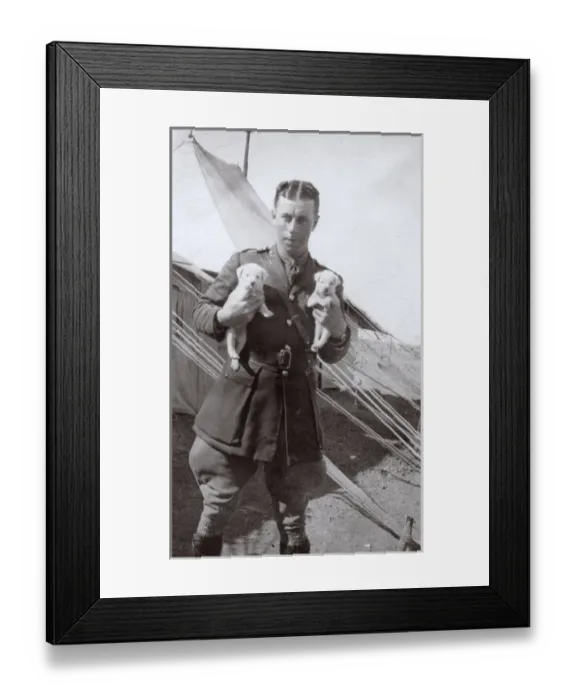 Framed Print : Soldier at training camp holding two puppies, WW1 Framed Print : Soldier at training camp holding two puppies, WW1