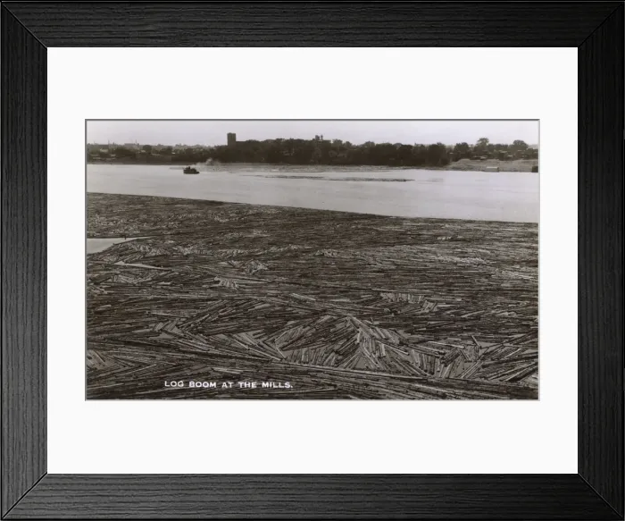 Framed Print : British Columbia, East Canada - River Log Boom at the Mills Framed Print : British Columbia, East Canada - River Log Boom at the Mills