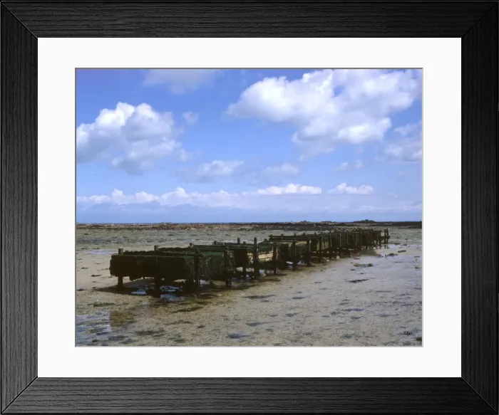 Framed Print : Shellfish farming on Jersey, Channel Islands Framed Print : Shellfish farming on Jersey, Channel Islands