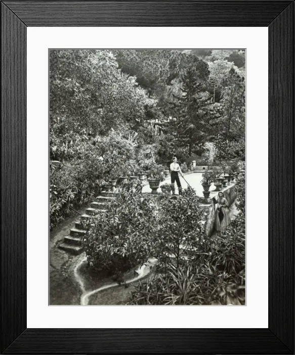Framed Print : Ornamental Tank Framed Print : Ornamental Tank