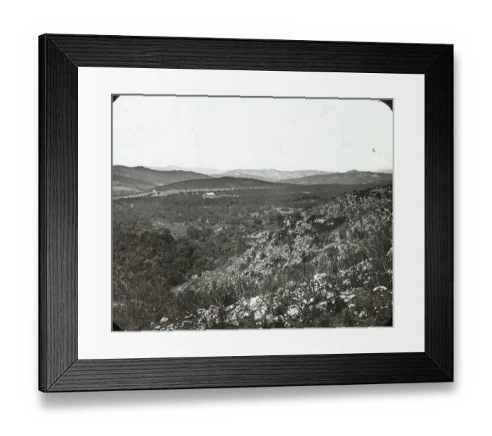 Framed Print : Conk Woods, San Roque Framed Print : Conk Woods, San Roque