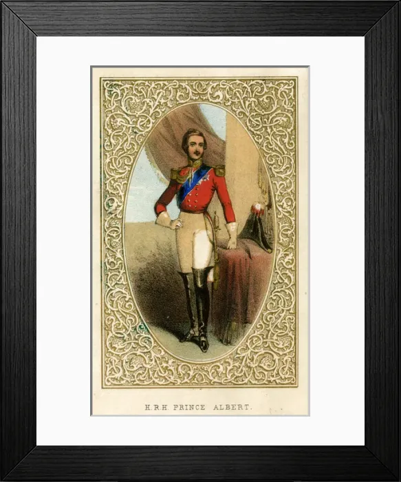 Framed Print : Prince Albert, husband and consort of Queen Victoria Framed Print : Prince Albert, husband and consort of Queen Victoria