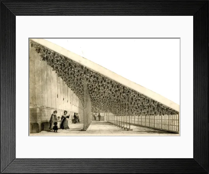 Framed Print : Large Vine House, Hampton Court Palace, London Framed Print : Large Vine House, Hampton Court Palace, London