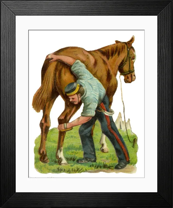 Framed Print : Victorian Scrap - Soldier Grooming Horse Framed Print : Victorian Scrap - Soldier Grooming Horse