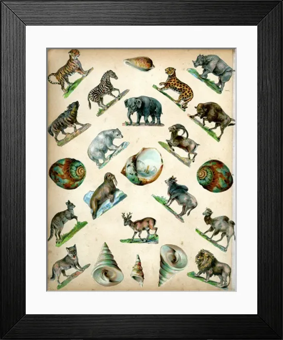Framed Print : Victorian Scraps - Page of Animals Framed Print : Victorian Scraps - Page of Animals