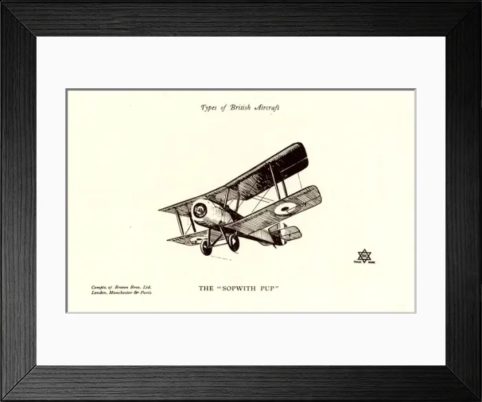 Framed Print : Types of British Aircraft -- The Sopwith Pup Framed Print : Types of British Aircraft -- The Sopwith Pup