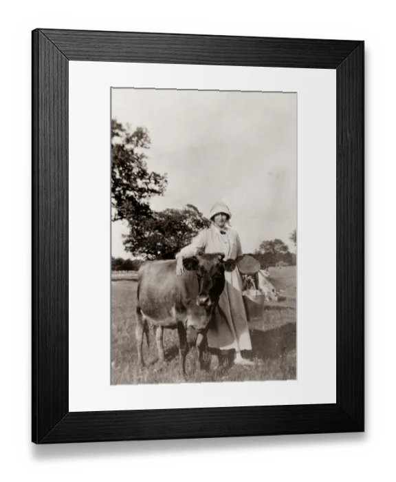 Framed Print : 11679233 Framed Print : 11679233