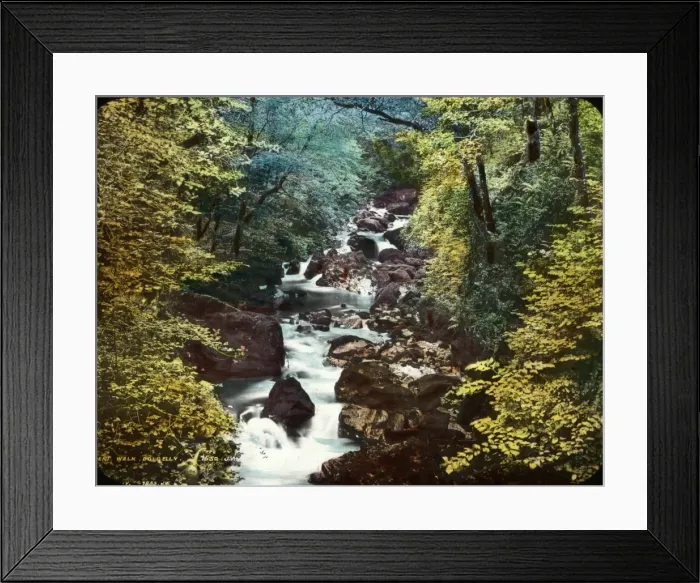 Framed Print : Dolgelley Forest Framed Print : Dolgelley Forest