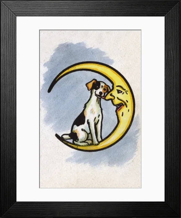 Framed Print : A Jolly Jack Russell licks the Moons nose Framed Print : A Jolly Jack Russell licks the Moons nose