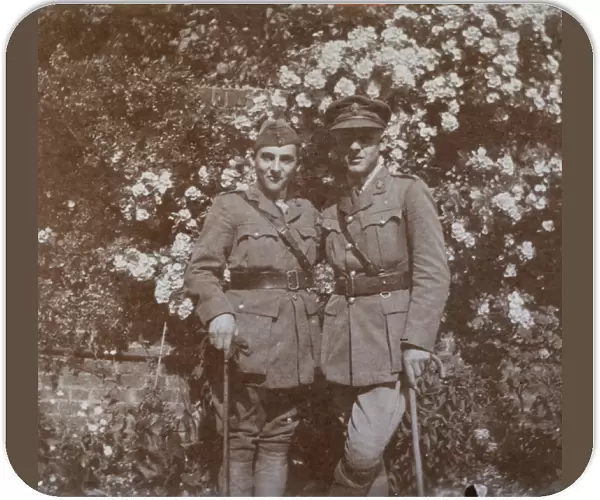 Two brothers in a garden, WW1