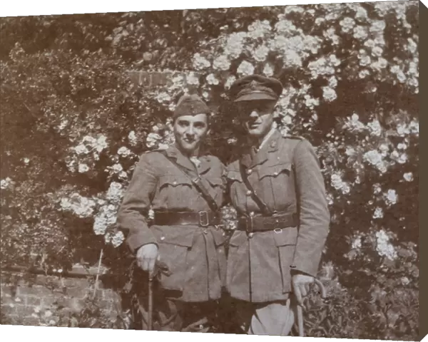 Two brothers in a garden, WW1