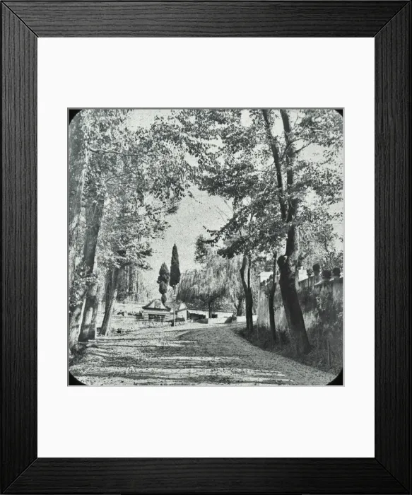 Framed Print : Alhambra Gardens Framed Print : Alhambra Gardens