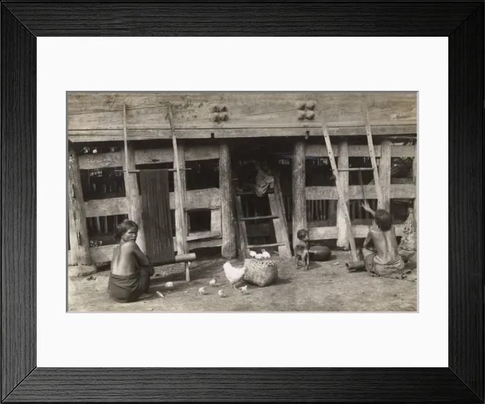 Framed Print : Native family home with poultry, Sumatra, Indonesia Framed Print : Native family home with poultry, Sumatra, Indonesia