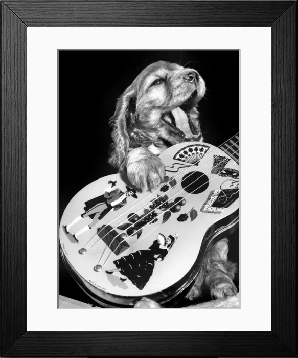 Framed Print : Susi - with guitar Framed Print : Susi - with guitar