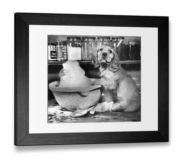 Framed Print : Susi - with baking bowl Framed Print : Susi - with baking bowl