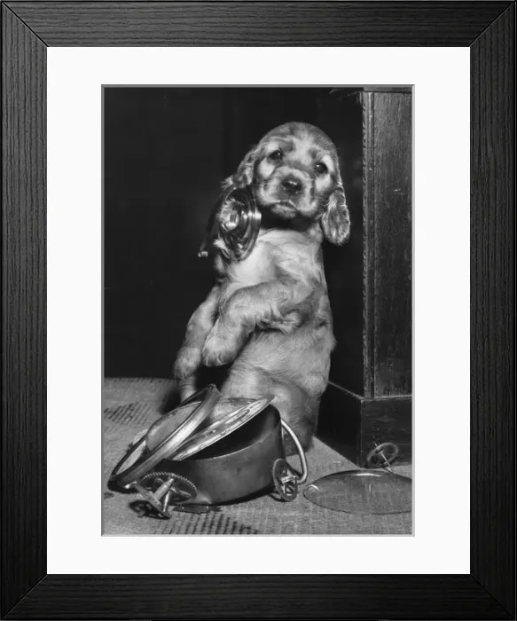 Framed Print : Susi - with demolished alarm clock Framed Print : Susi - with demolished alarm clock