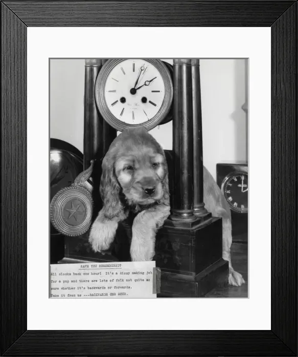Framed Print : Susi - with clock Framed Print : Susi - with clock