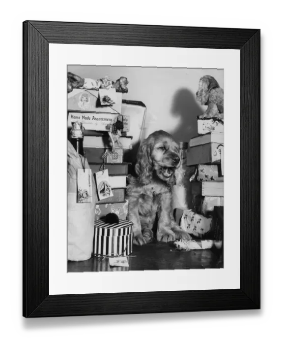 Framed Print : Susi - with piles of toys and presents Framed Print : Susi - with piles of toys and presents